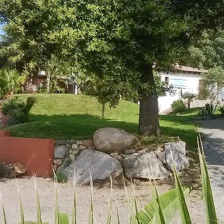 Holiday home Holiday Canne - Quartier Piatana *
